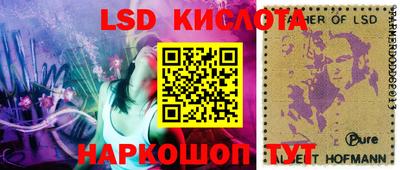 мет Кингисепп