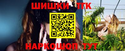 мет Кингисепп