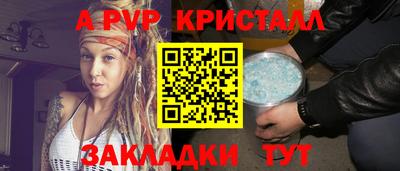 мет Кингисепп