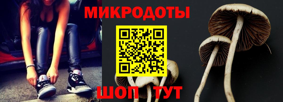 Камышлов  Галлюциногенные грибы мухоморы  Вход с VPN  купить   Псилоцибиновые грибы Magic Shrooms 